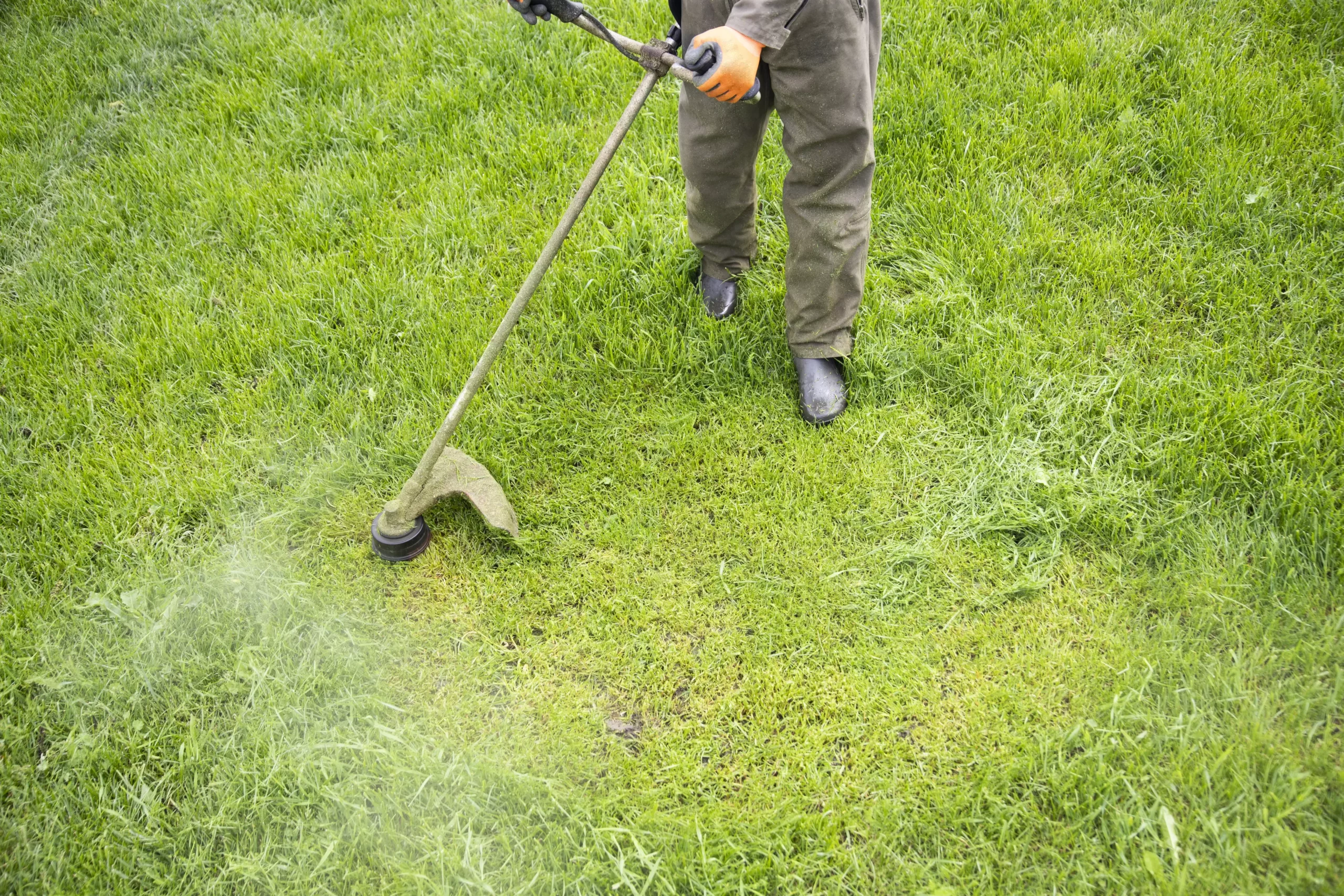 How Much Does The Average Lawn Service Cost