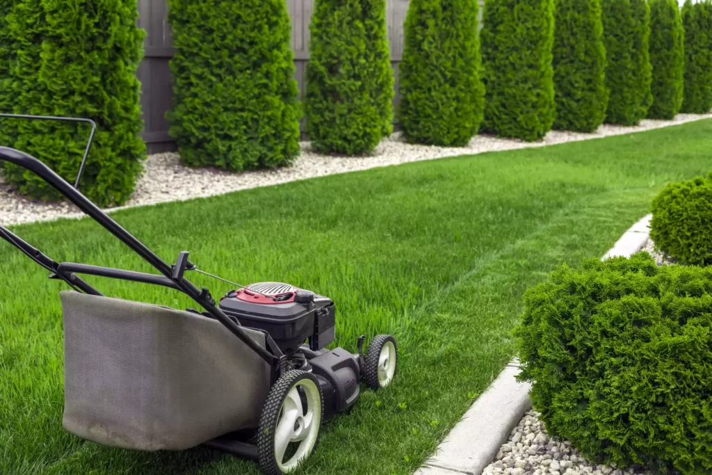 Essential Lawn Mower Safety Rules