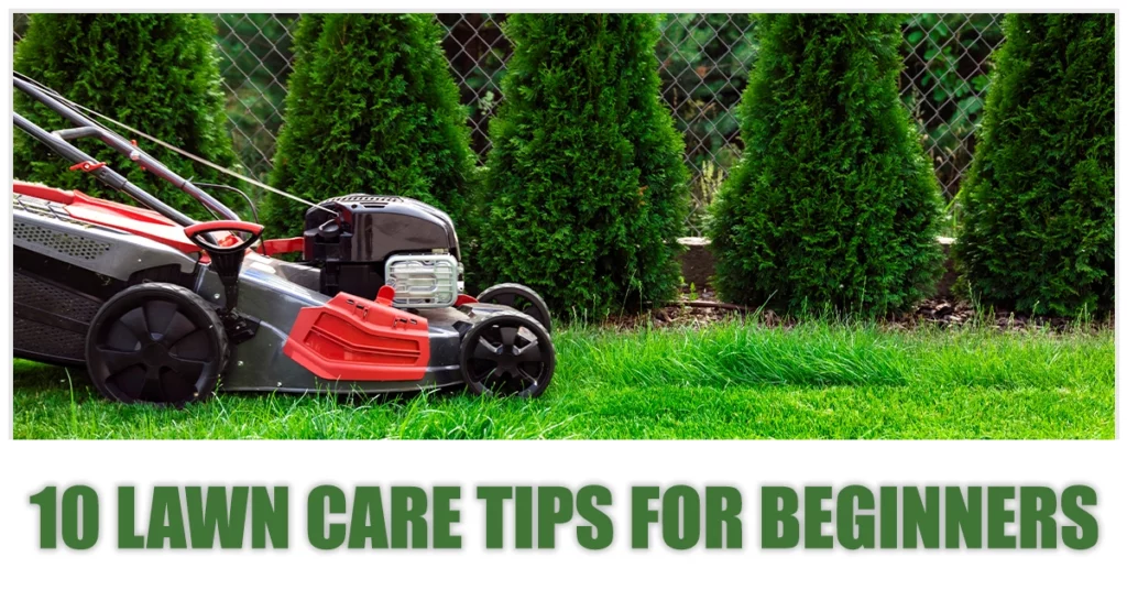 10 Lawn Care Tips For Beginners