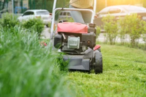 Some Extra Guidelines on How to Mow A Lawn