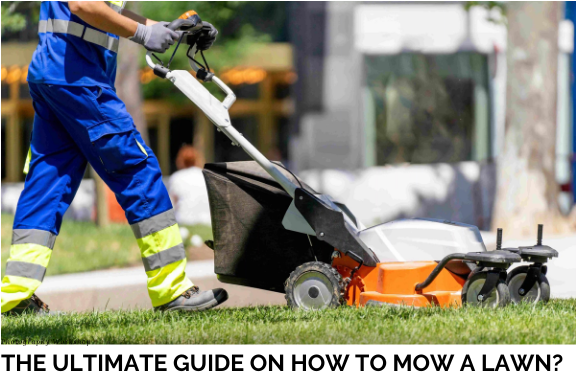 The Ultimate Guide On How To Mow A Lawn