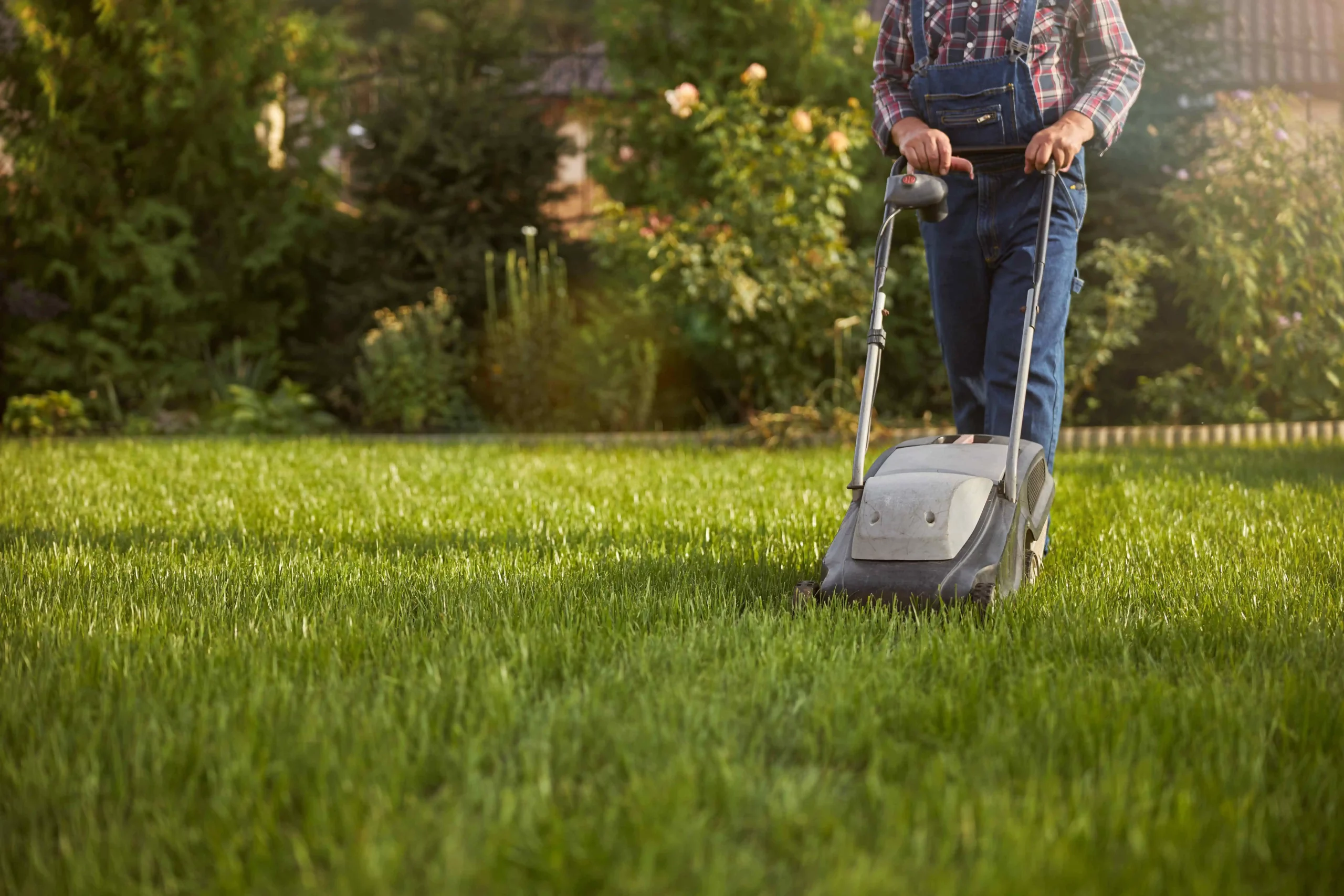 How Much Is Lawn Care A Month