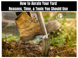 How to Aerate Your Yard and Tools You Should Use