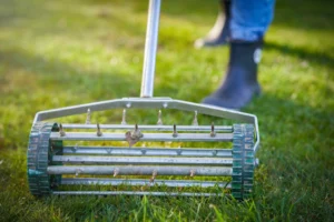 Tools You Should Use While Aerating Your Yard