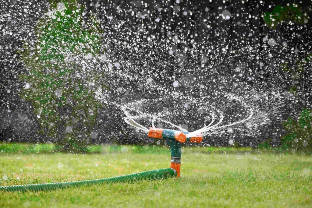 When To Stop Watering Your Lawn