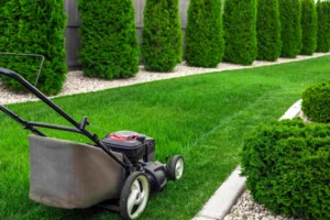 How Does a Mulching Lawn Mower Work